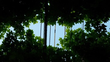 4F95569E-C935-4890-9AA4-BE98637CAE0C/L0/001