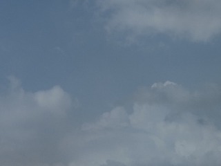 1000015166