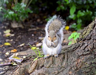 _DSC0522