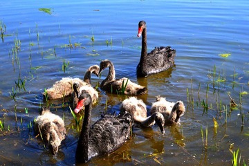 DSC_2677.jpg