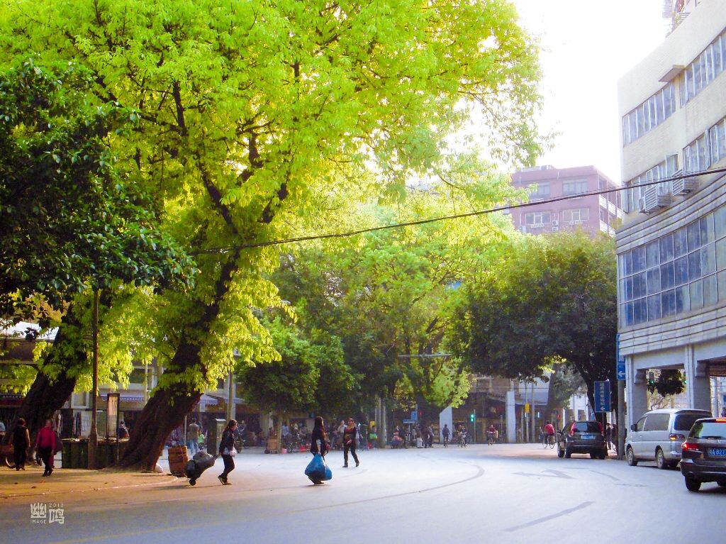 光·荫<br />
阳光，绿叶，美好心情