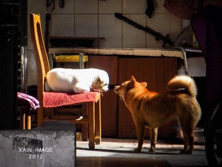 DSCN1022-2.jpg