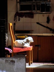 DSCN1021-2.jpg