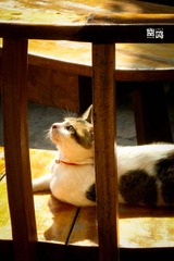 DSCN0111.jpg