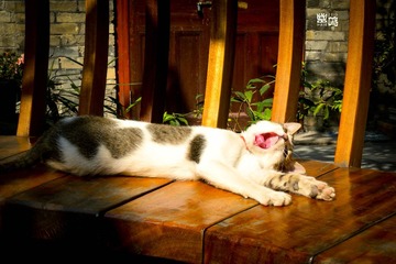 DSCN0113.jpg