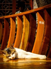 DSCN0117.jpg