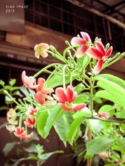 DSCN0057-2.jpg