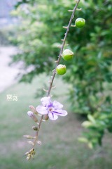 DSCN6407.jpg