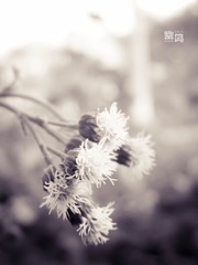 DSCN6224.jpg