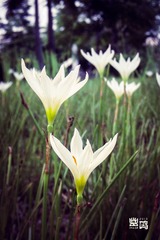 DSCN6217.jpg