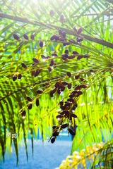 DSCN7036.jpg