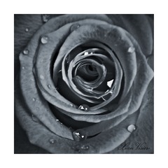 C360_2013-04-11-17-54-28-269