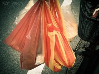 IMG_20131003_120451