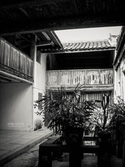 DSCN7919-2
