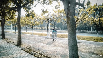 爱在阳光下