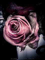 C360_2013-04-17-17-49-12-415
