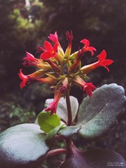 C360_2014-04-07-14-10-26-543