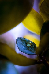 DSC_0153-2