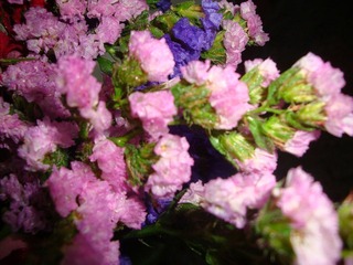 DSC07347.JPG