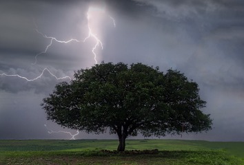 42266