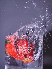 3B31F4E6-F4FF-4918-BD81-8F17580A347A/L0/001