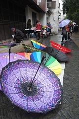 DSCF1355_c.jpg
