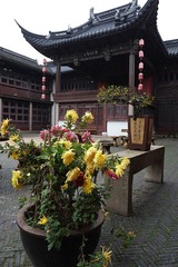 DSCF1292_c.jpg