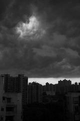 L1000223