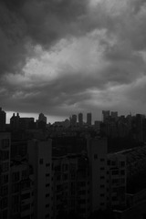 L1000219