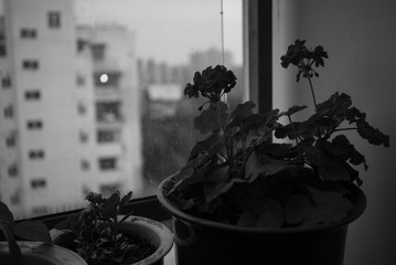 C4C78408-9320-4A31-B748-CB0AE73EF566/L0/001