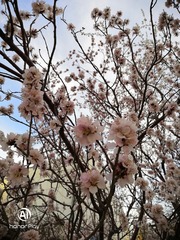 CC582B80-C986-4455-BF03-FD9B945B838B/L0/001