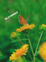 141AA92F-04C8-46D6-A172-E440EB106868/L0/001