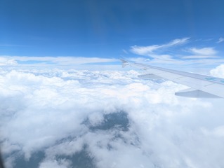 17426