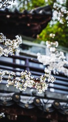 B8623DB4-09ED-4139-869A-D1385511A202/L0/001