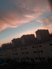 65CA1FFF-45D6-4D8E-A6A1-93D6C970821E/L0/001