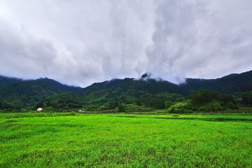 15B55C1A-D20D-4342-8C34-4D3E05E48818/L0/001