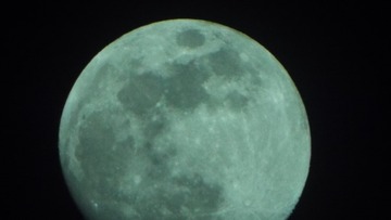 D223B614-C1E3-4A75-9EA3-B5FB14123C32/L0/001
