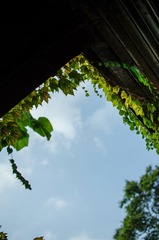 0F3DEE15-378C-436F-AC93-3C95C9150D5E/L0/001