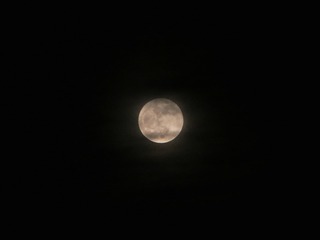 146053