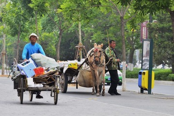 马车.jpg