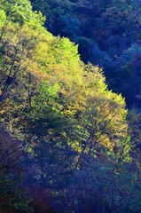 DSC_9141.JPG