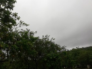 1625208