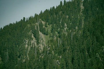 28DF130A-1D7E-4E0C-A049-0F9E53E62744/L0/001
