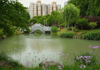 8489F6F3-05E0-4D6B-8659-9652439EE097/L0/001