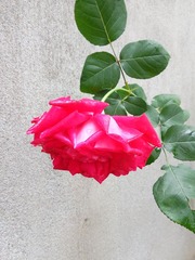 7EB121F2-BA1D-483C-BDD8-CE584795C6E8/L0/001