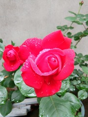 A3BCAE8D-443C-463E-99A8-085973F303B3/L0/001