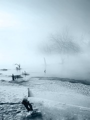 _DSC4423_2.jpg