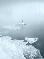 _DSC4448_43.jpg