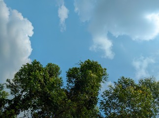 195587