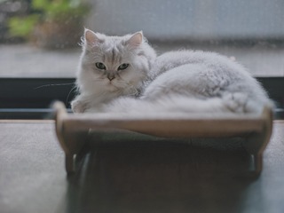 118180